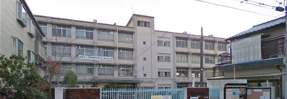 Other. Primary school