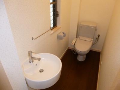 Toilet. Hand-washing facilities in toilet. 