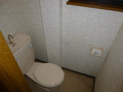 Toilet. Indoor (11 May 2013) Shooting