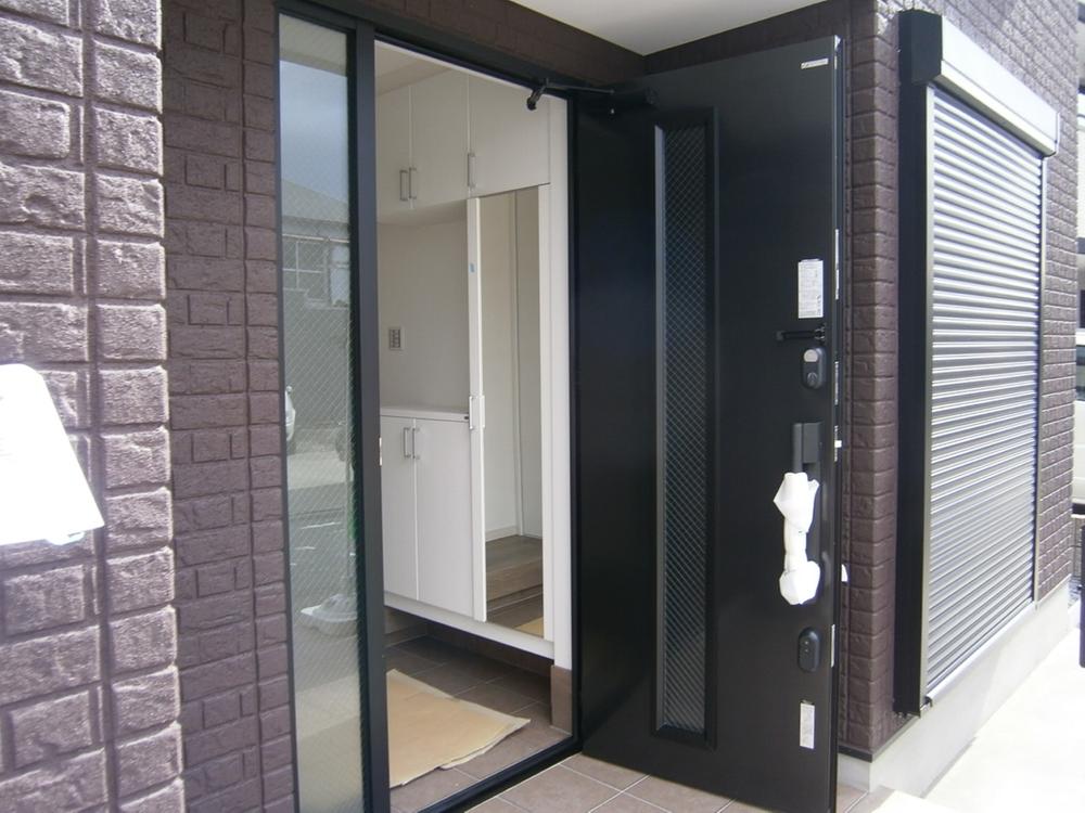 Other. Entrance doors (color, You can choose form)