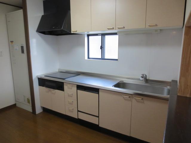 Kitchen. System kitchen (IH cooking)