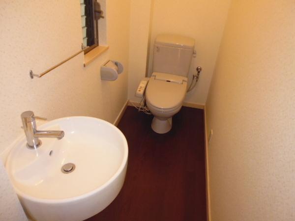 Toilet. Washlet toilet.
