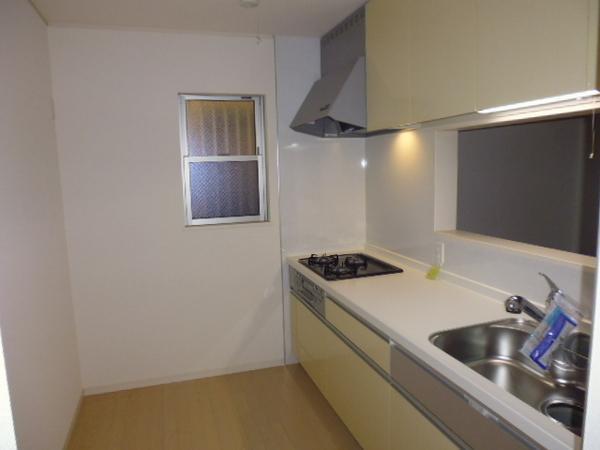 Kitchen. Convenient face-to-face kitchen with underfloor storage