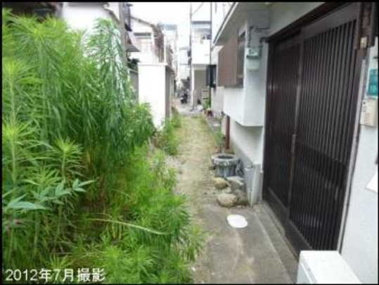 Local appearance photo