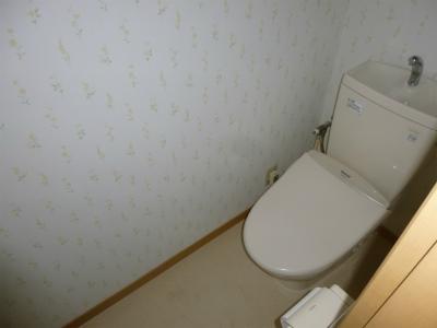 Toilet. Indoor (11 May 2013) Shooting