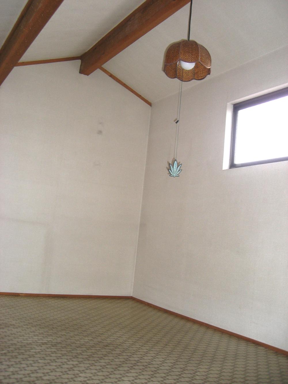 Other introspection. Attic storage (December 2013) Shooting