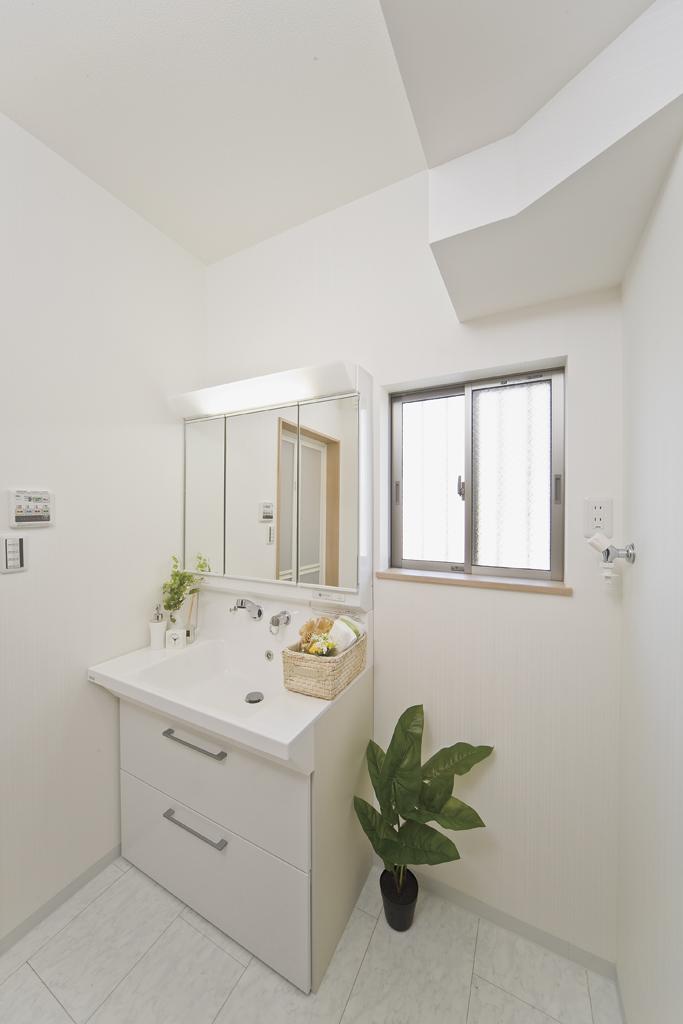 Model house photo. Wide wash basin