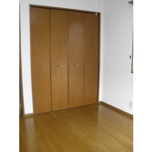 Living and room. Western style room closet