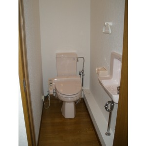 Toilet. Hot water cleaning function with toilet seat