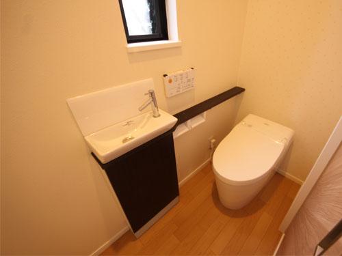 Toilet. Local shooting