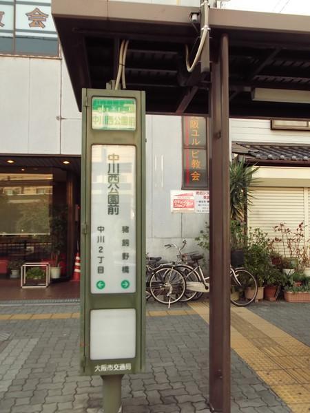 Other. Bright, may be airy, A comfortable new life