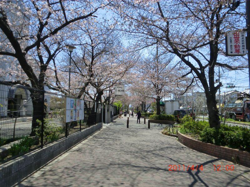 park. 746m to San Jose park