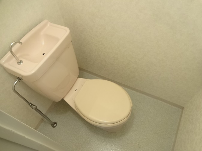 Toilet. Toilet