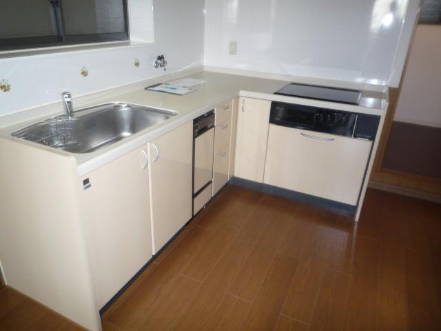 Kitchen. Indoor (02 May 2012) shooting