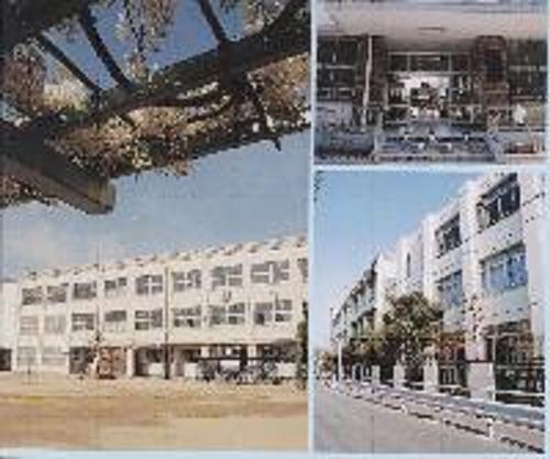 Primary school. 360m to Osaka Municipal Ikuno elementary school (elementary school)