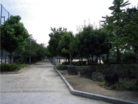 park. Tatsumi 698m to the park (park)