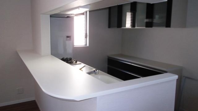 Kitchen. Counter Depth 450