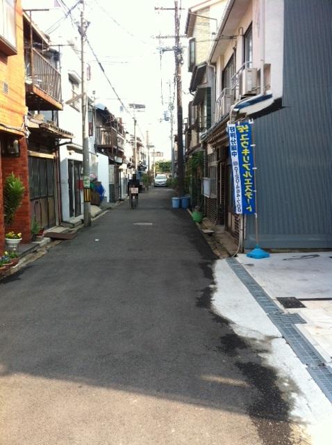 Local photos, including front road. Before road 4m