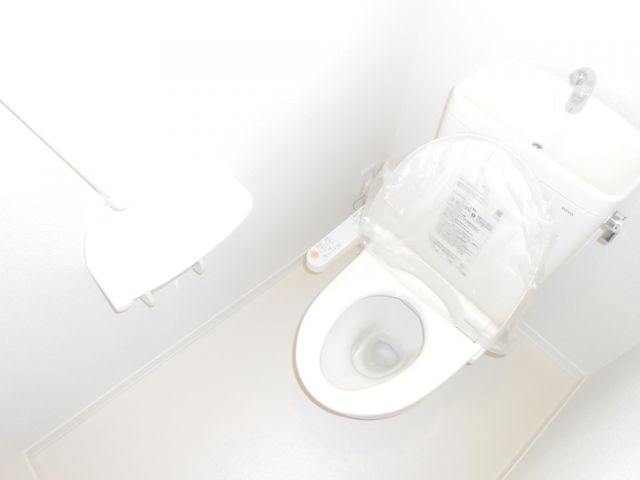 Other. The photograph is an image.