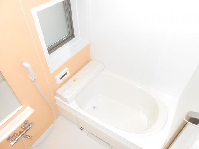 Other. The photograph is an image.