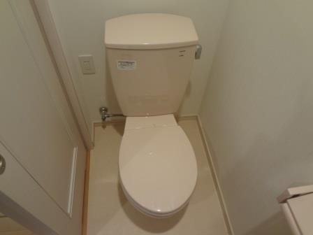 Toilet. Local (June 2013) Shooting