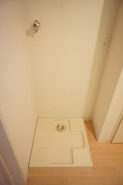 Washroom. Indoor laundry Storage