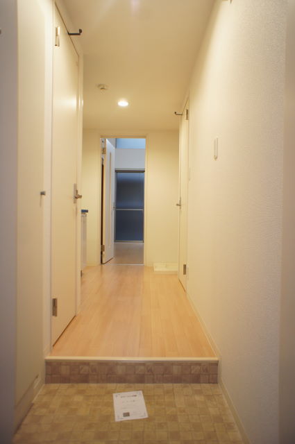 Entrance. The view from the front door