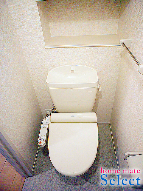 Toilet. Warm water washing toilet seat