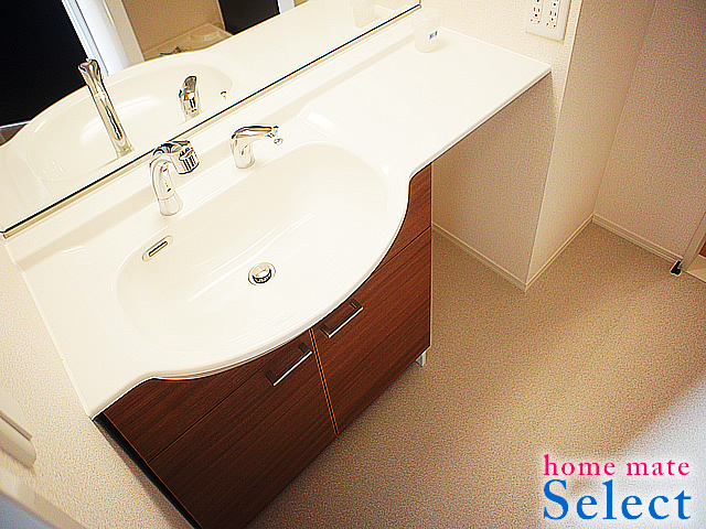 Washroom. Large washbasin women rejoice