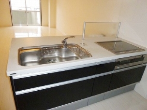 Other. System Kitchen IH stove