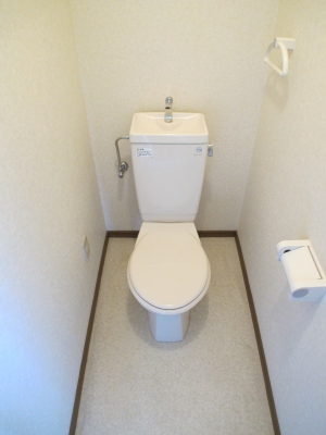 Other. Toilet