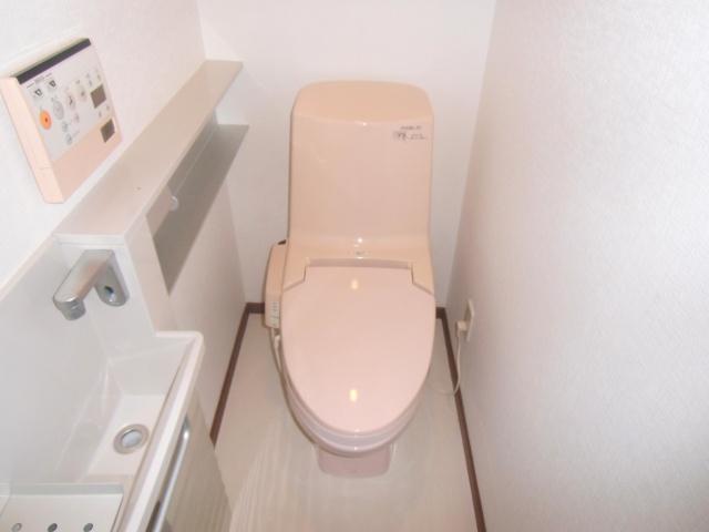 Toilet. It is a high-function toilet