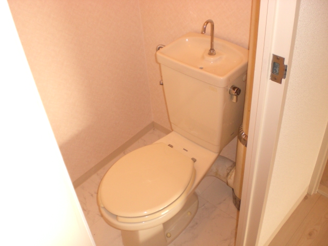 Toilet. Western-style toilet