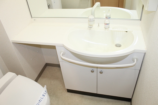 Washroom. Convenient Shampoo dresser!