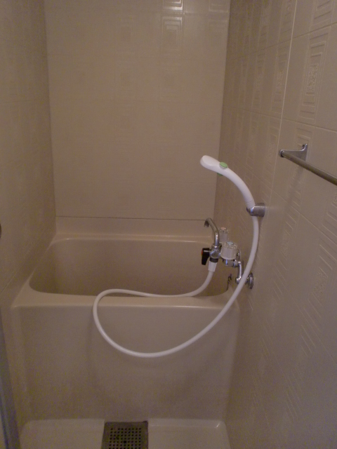 Bath. Shower