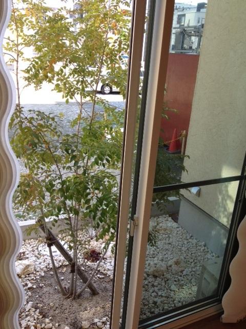 View photos from the dwelling unit. From the living room window ・ ・ ・