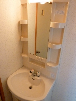 Other. Wash basin