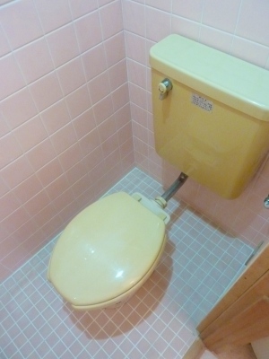 Other. Toilet