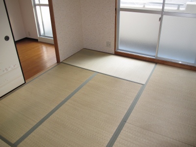 Other room space. Japanese style room