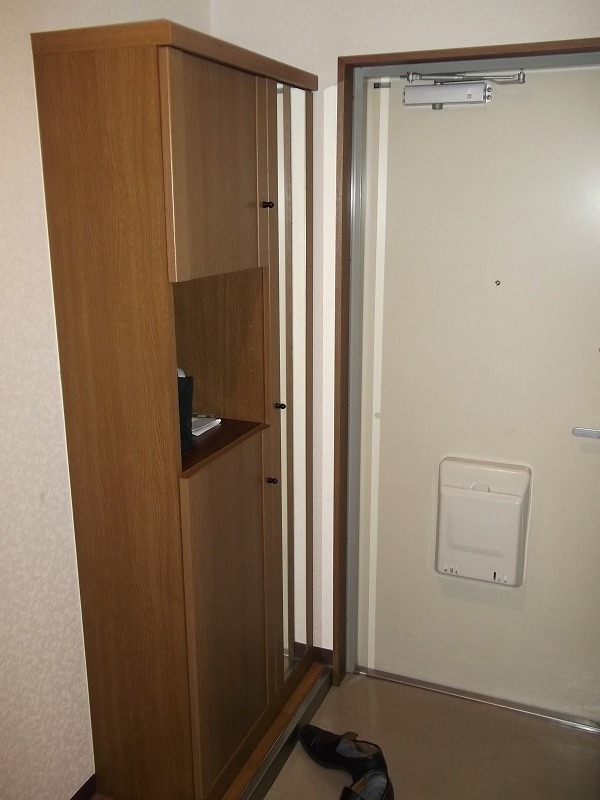 Entrance. Shoes is with BOX.