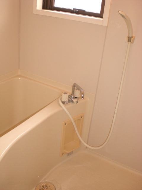 Bath. It is a window with a bath!