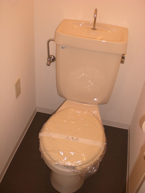 Toilet. Toilet