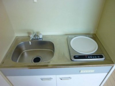 Kitchen. IH stove