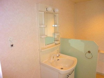 Washroom. Wash basin