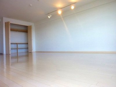 Living and room. Spacious Western-style