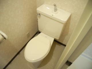Toilet. Toilet