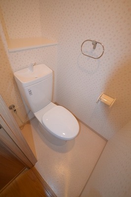 Toilet. Toilet