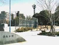 park. Gamo 1129m to the park (park)