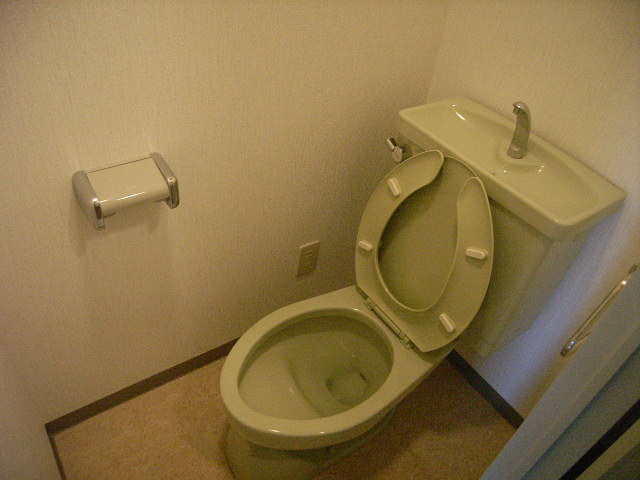Toilet. Toilet