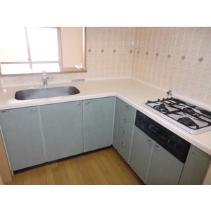 Kitchen. Kitchen